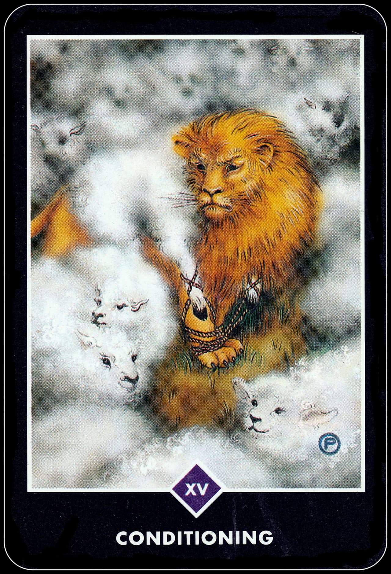 制約 (Conditioning)