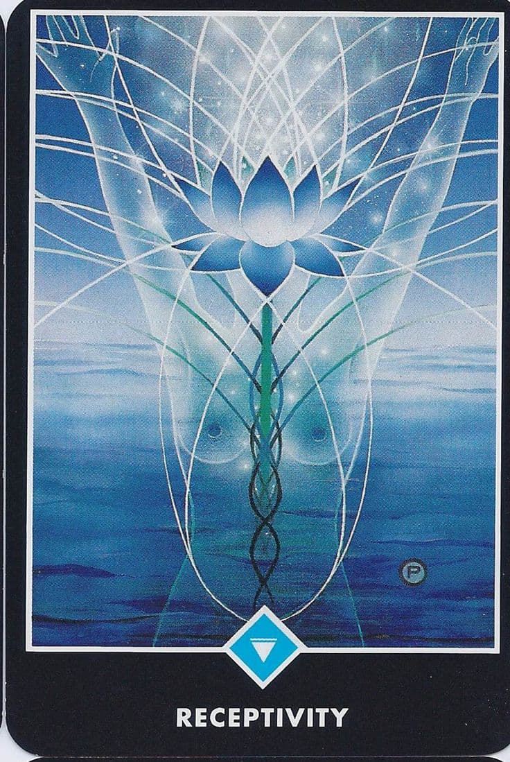 接受性 (Receptivity)